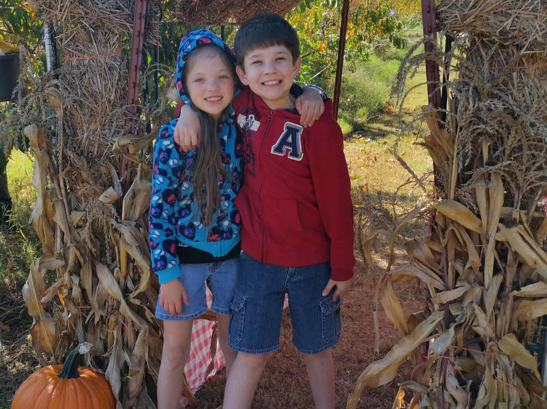 Cox Berry Farm & Nursery-Clarksville必去景点