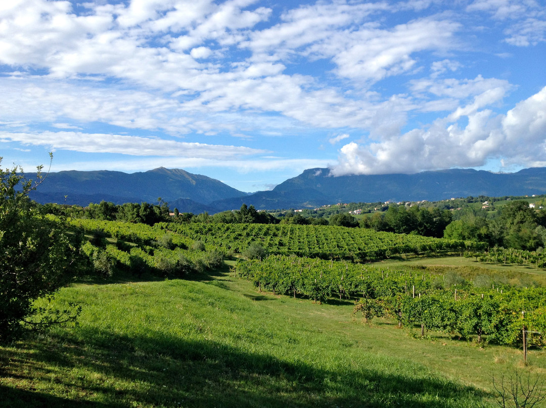 Azienda Agricola Mani Sagge景点图片