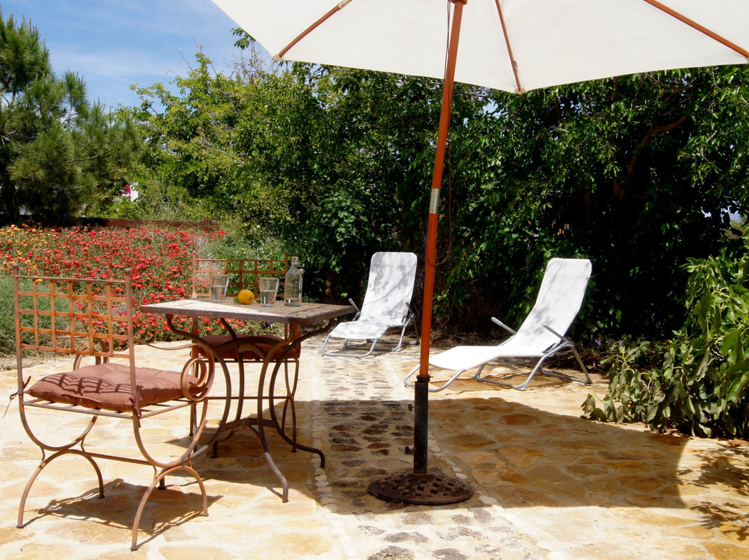 Estels Naturalicante-主图