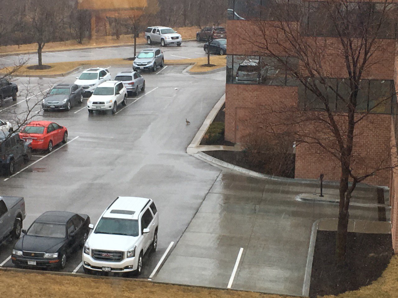 Hampton Inn Omaha/West Dodge Road (Old Mill)-酒店景观
