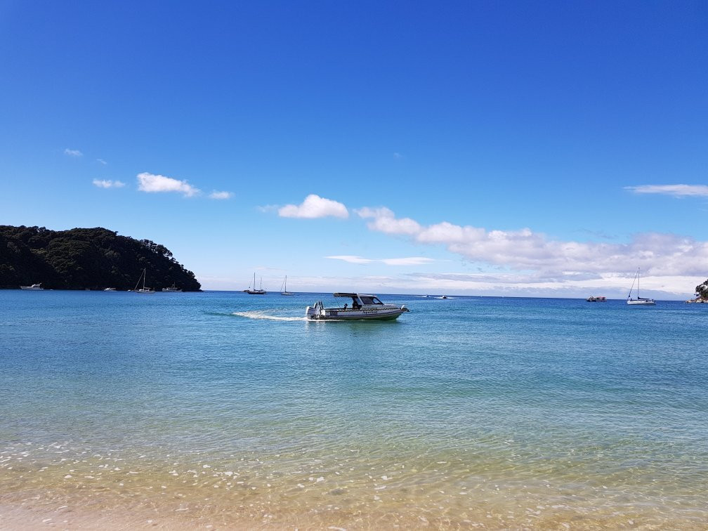 Abel Tasman AquaTaxi景点图片