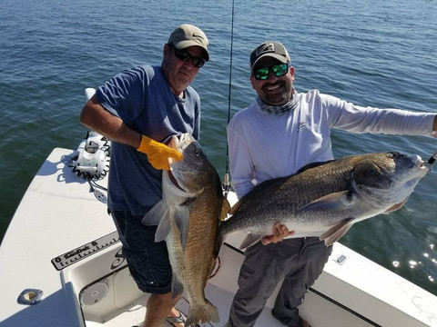 Tampa Bay Flats Fishing-坦帕必去景点