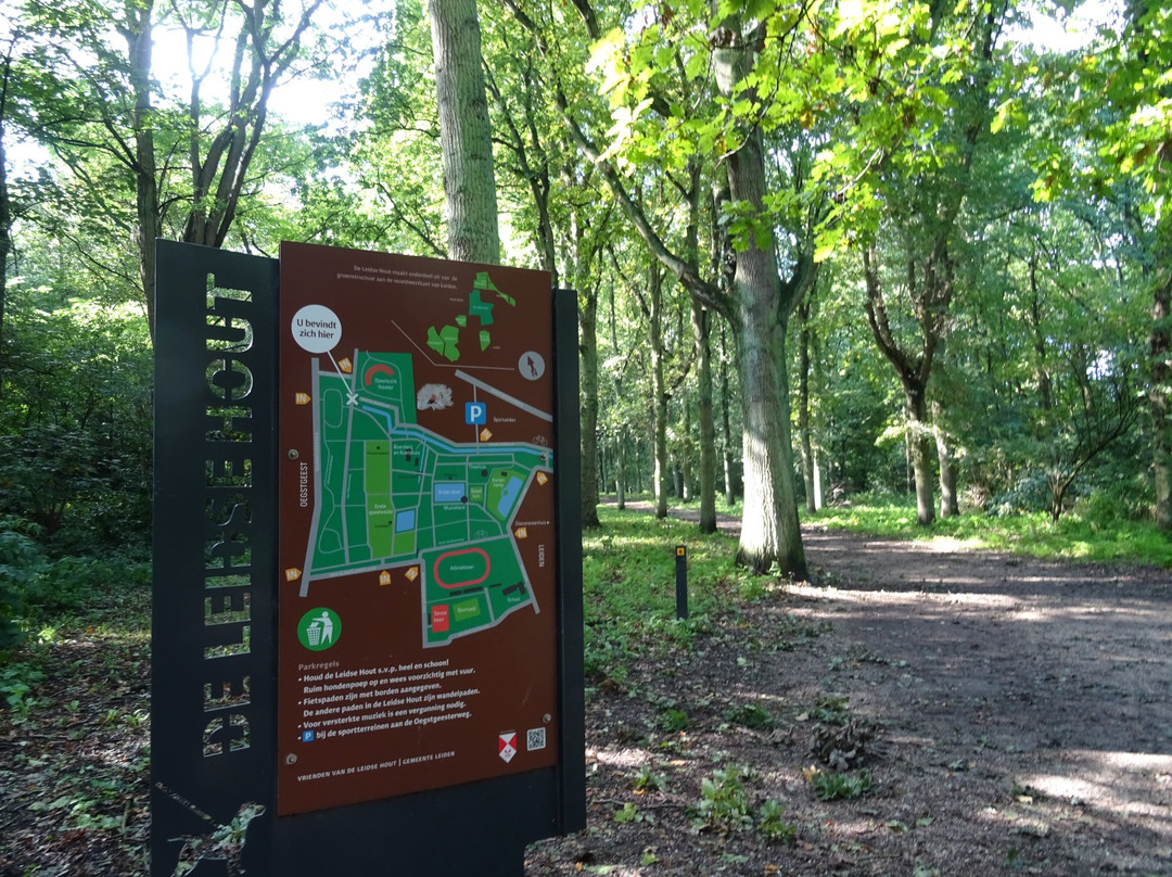 Leidse Hout Park-莱顿必去景点
