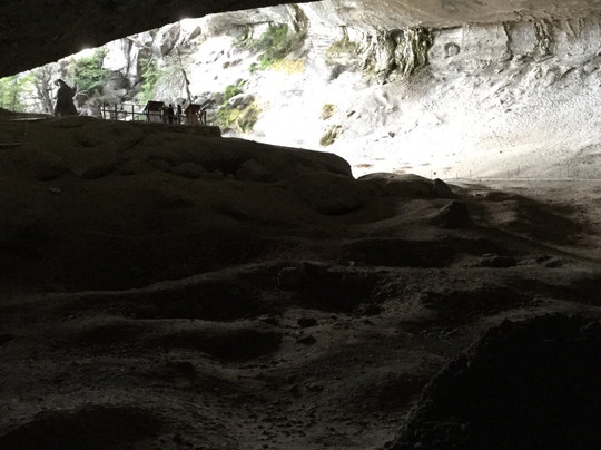 Wagner Expedition-纳塔莱斯港必去景点