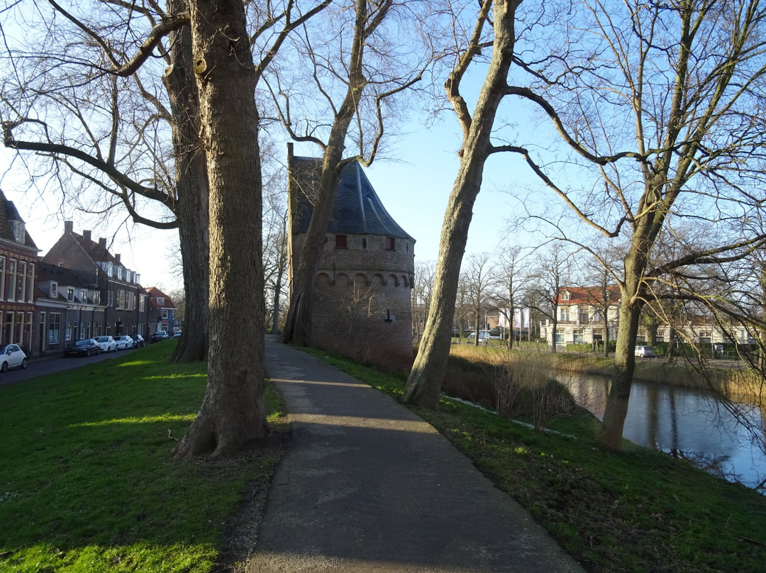 Nibbixwoud旅游景点-Maria of Kruittoren