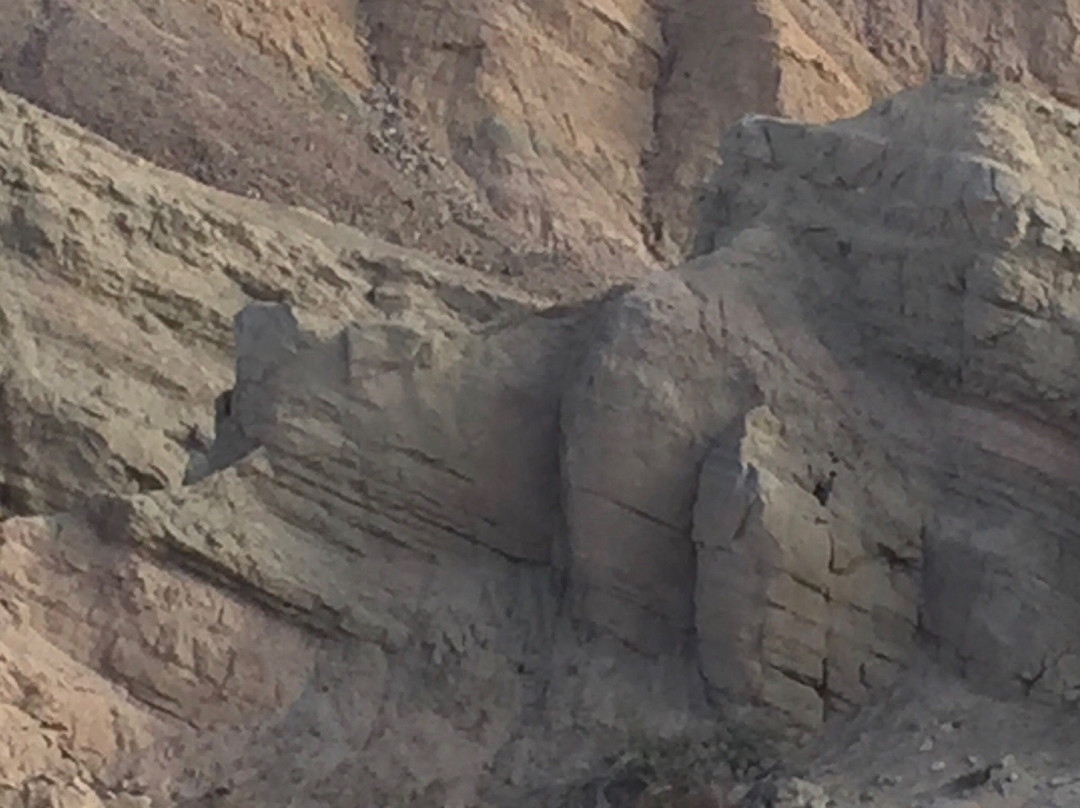 Borrego Springs Chamber & Visitor's Bureau-波瑞戈泉必去景点