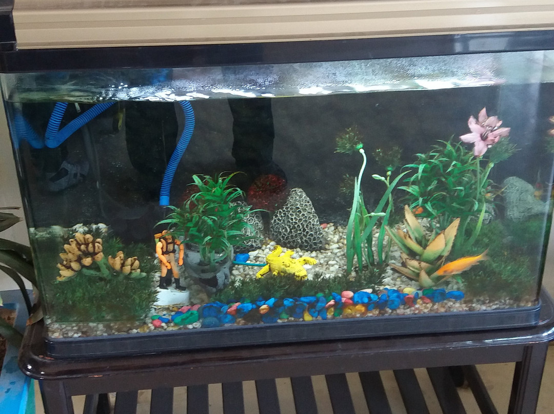 Treebo Trend Shree Vilas主图