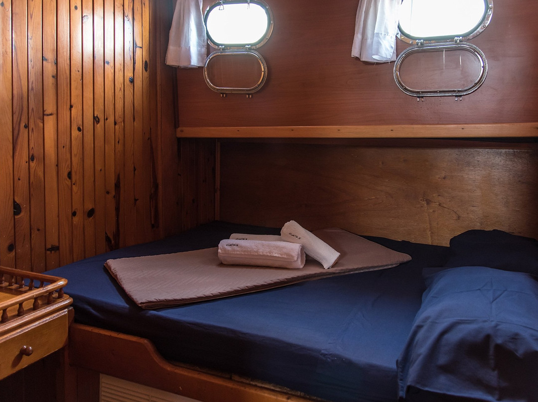 B&B Boat Goldfinger主图