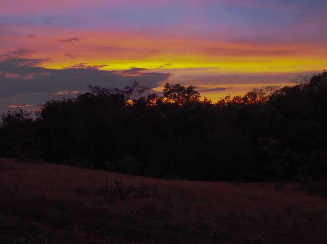 Seima Protection Forest-森莫诺隆必去景点