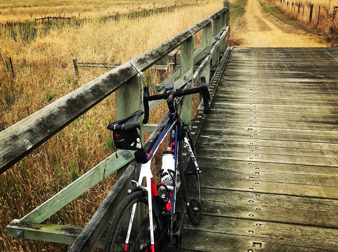 Port Fairy to Warrnambool Rail Trail景点图片