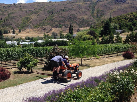 Clyde Village Vineyard-克莱德必去景点