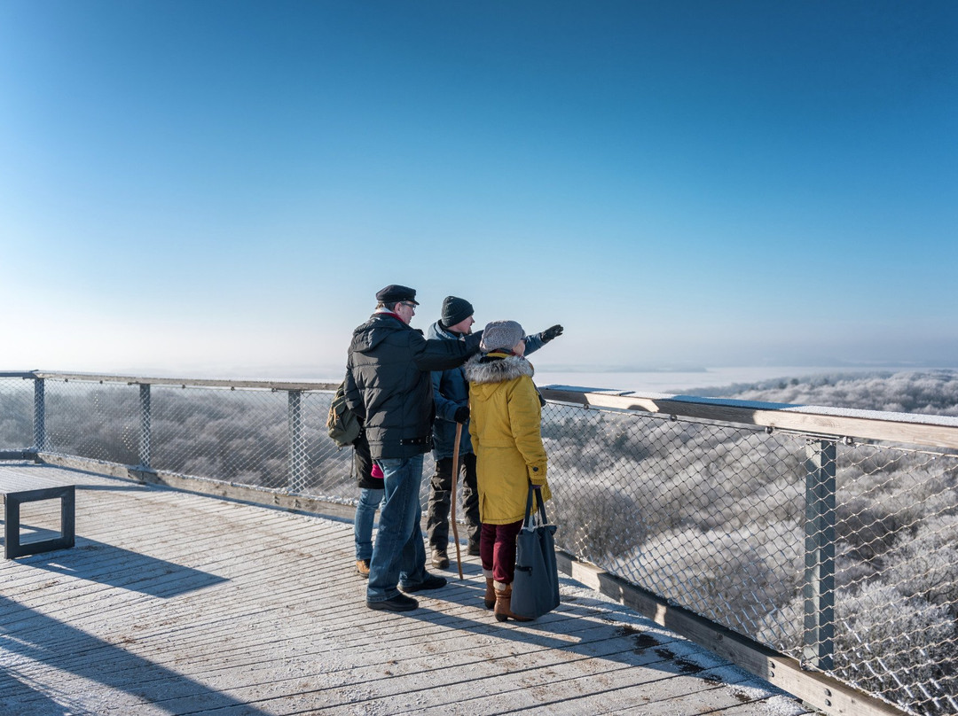 Baumwipfelpfad im Naturerbe Zentrum Rügen景点图片