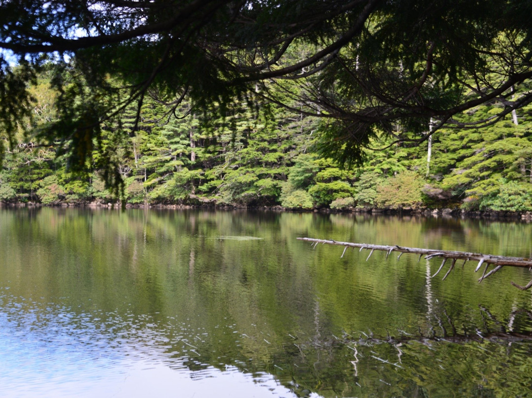 Pond Shirakoma景点图片