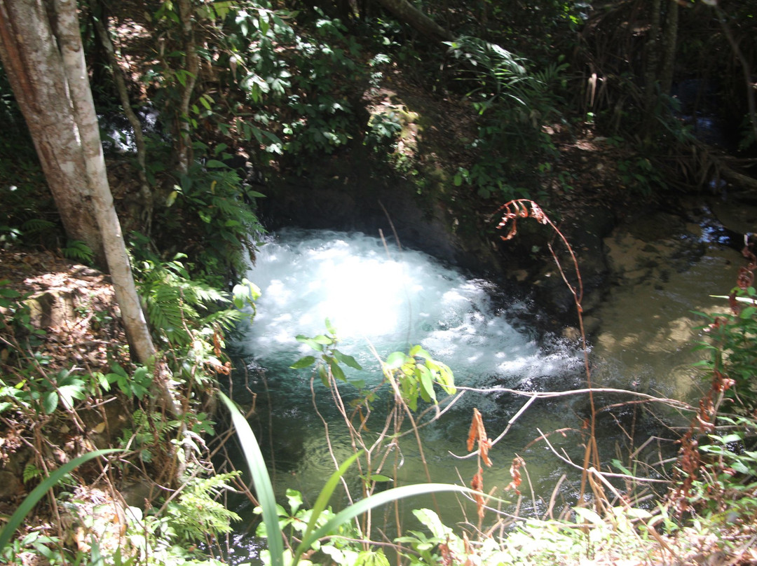 Mansinha Falls景点图片