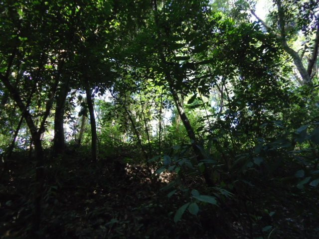 Khonghampat Orchidarium-因帕尔必去景点