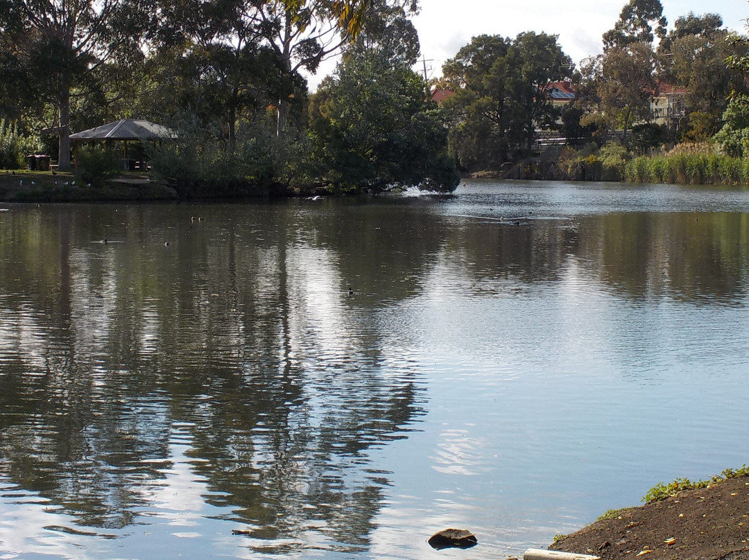 Coburg Lake Reserve景点图片