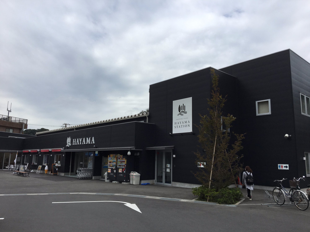 Hayama Station景点图片