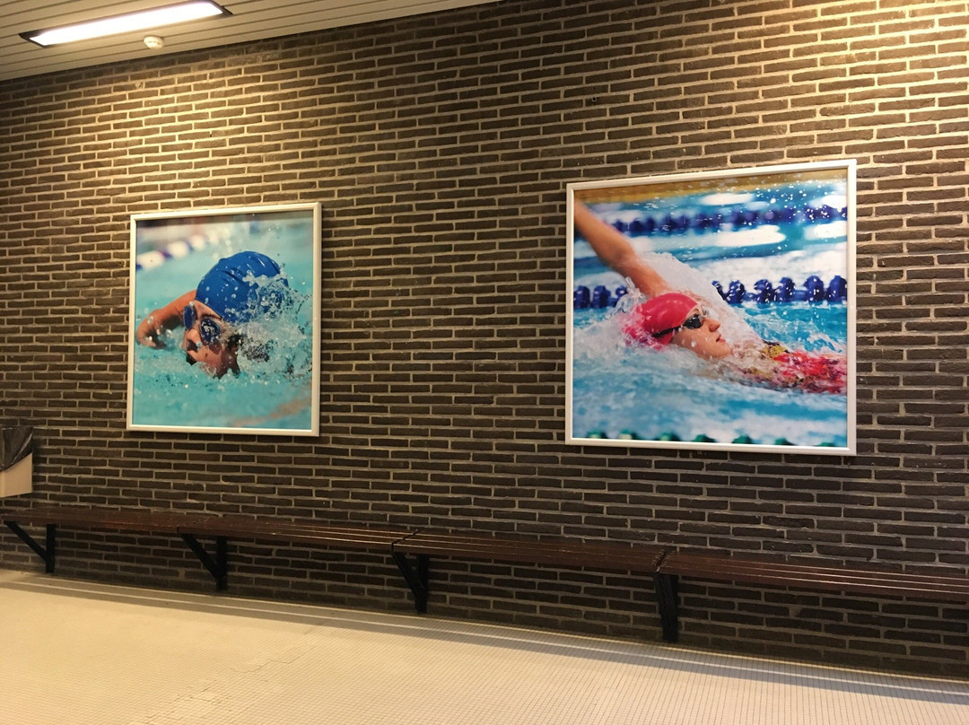 Piscine de Longchamp-于克勒必去景点