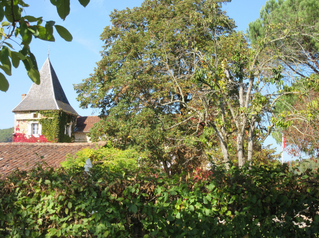 Château Camp del Saltre-Prayssac必去景点