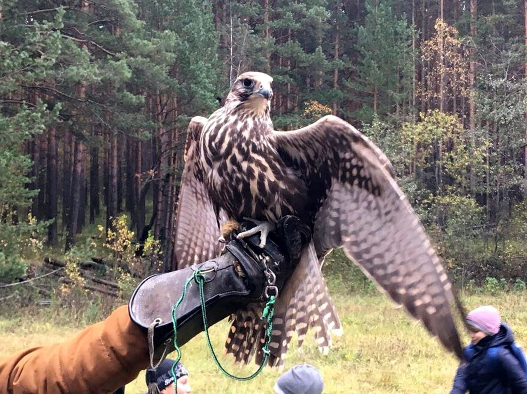 Monitoring And Rehabilitation Center For Predatory Birds Kholzan景点图片