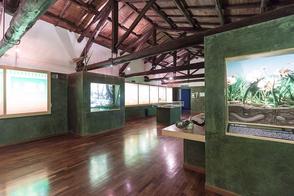 Museo Naturalistico Dei Monti Prenestini-Capranica Prenestina必去景点