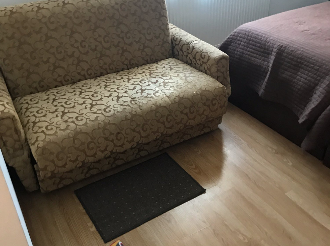 Garni Hotel Lion主图