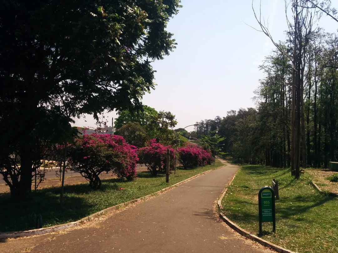 Bosque das Grevileas-Maringa必去景点