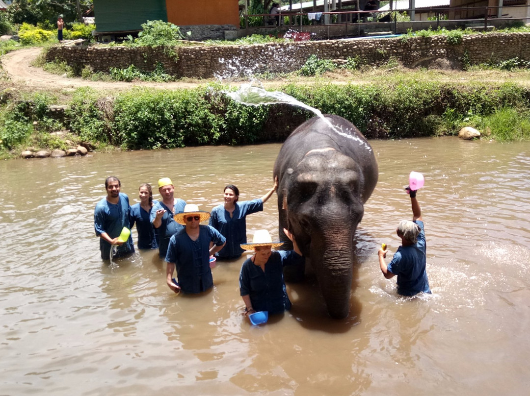 Baan Tung Lakorn Elephant Camp-夜登必去景点