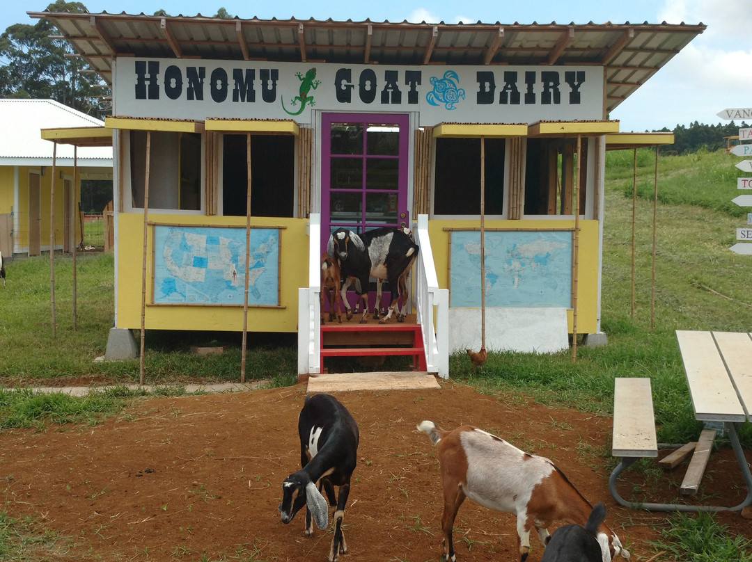 Honomu Goat Dairy-哈诺姆必去景点