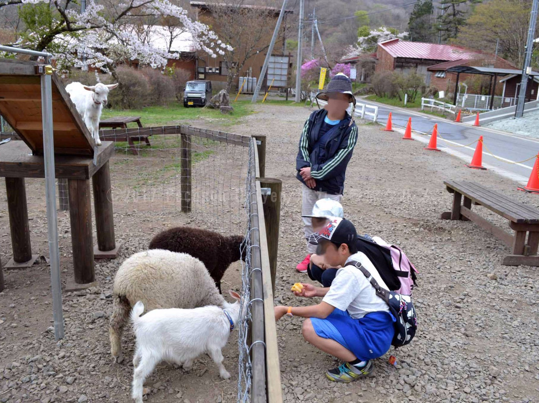 Kozu Farm景点图片