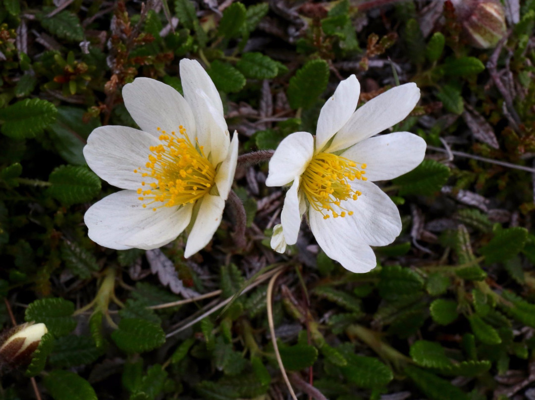 MudShark Tours-海拉必去景点