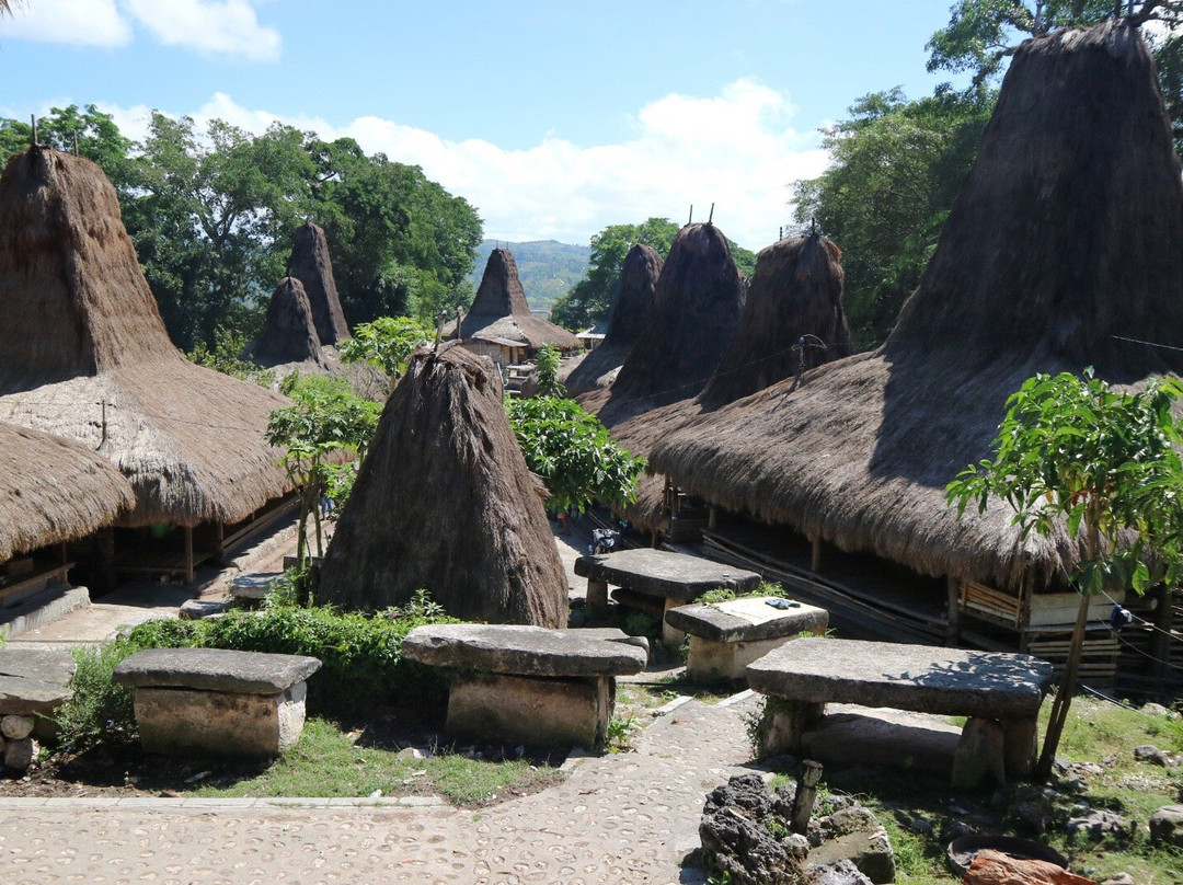 Tarung Cultural Villag景点图片