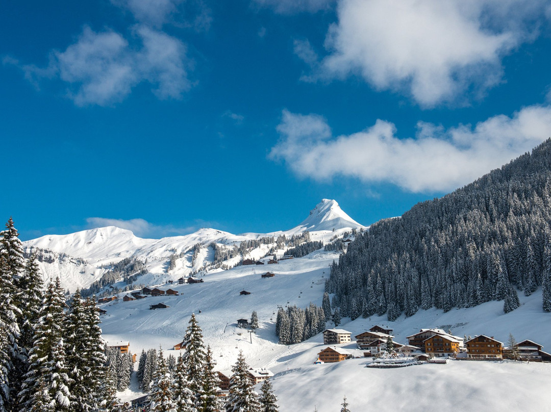 Skigebiet Damuls - Mellau - Faschina景点图片