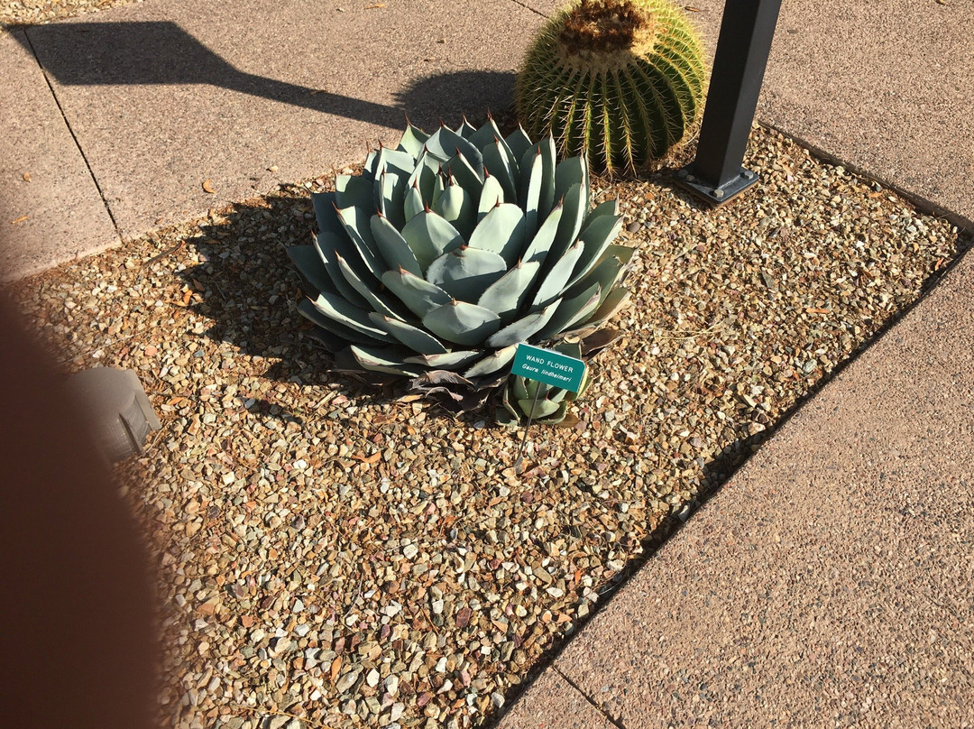 Barry Goldwater Park-天堂谷必去景点