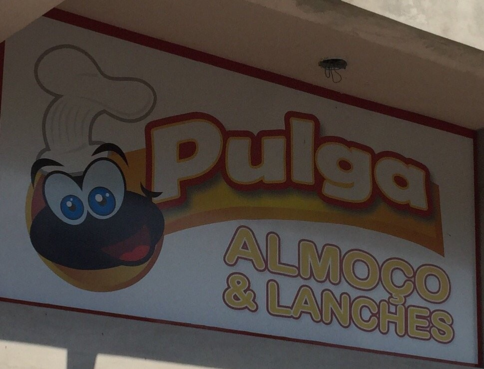 Pulga Almoco E Lanches
