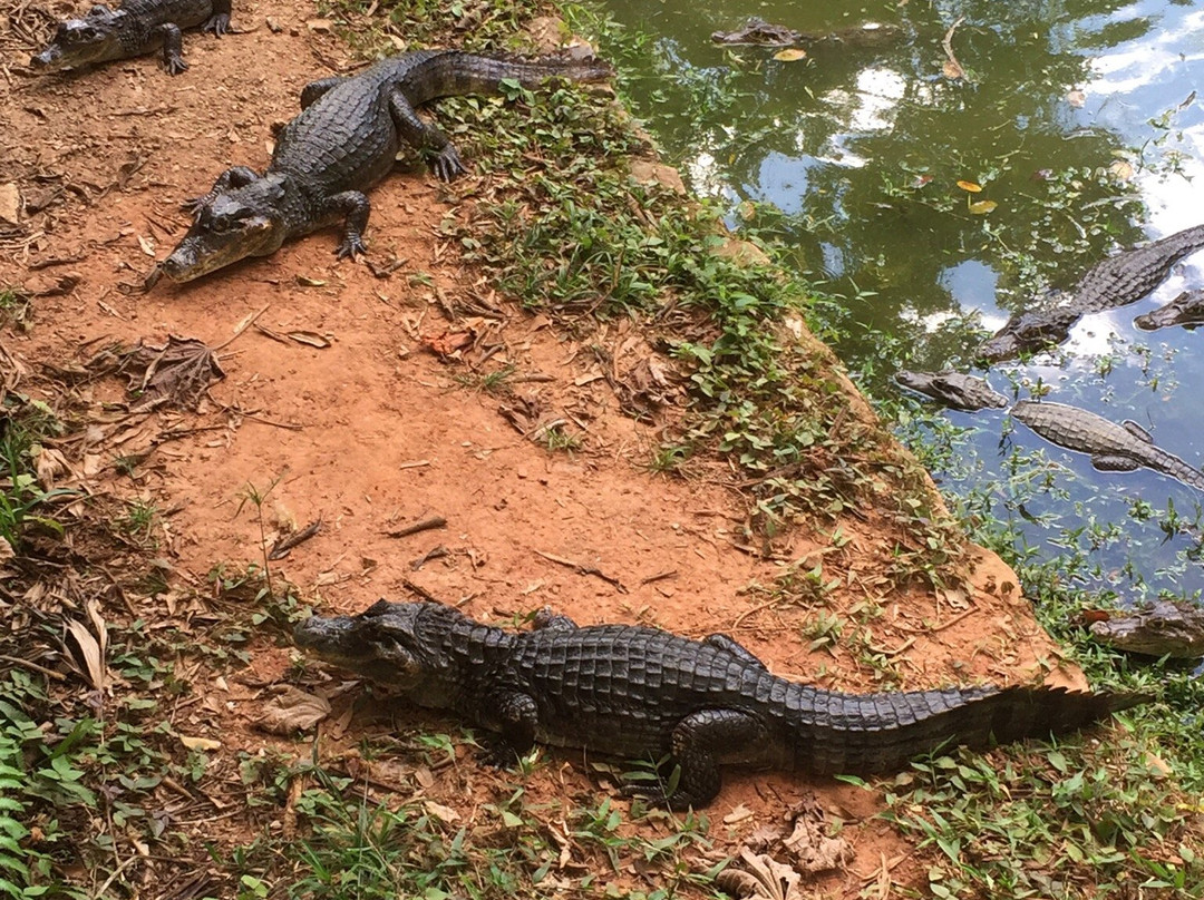 Parque Ecologico Ciudad Reptilia-Melgar必去景点