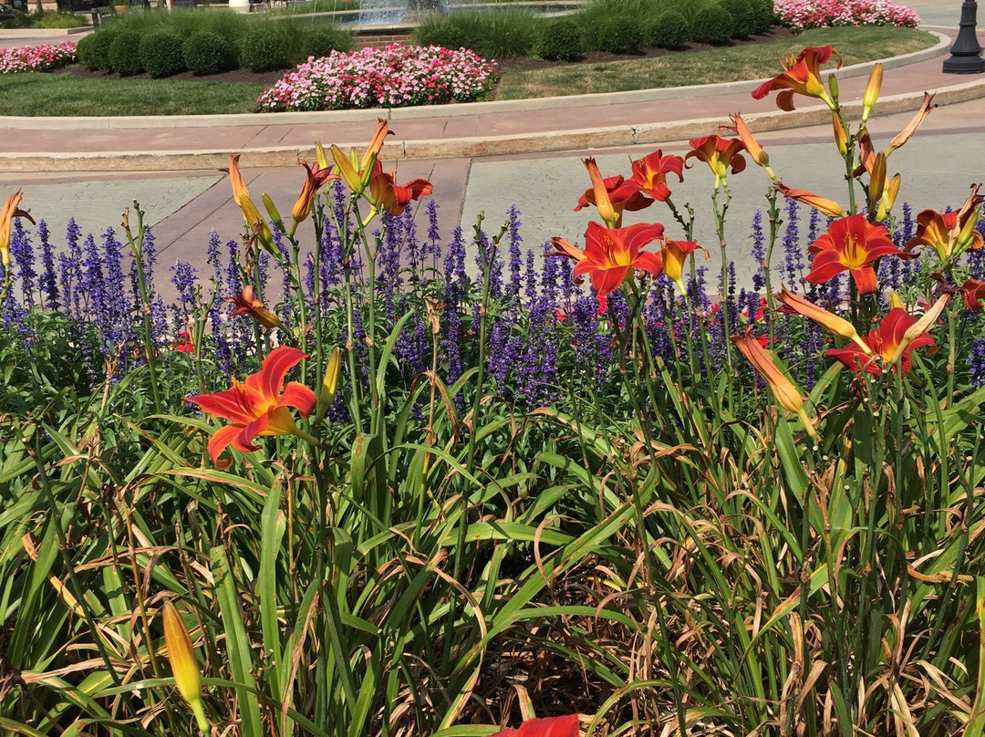 The Promenade Shops at Saucon Valley-Center Valley必去景点