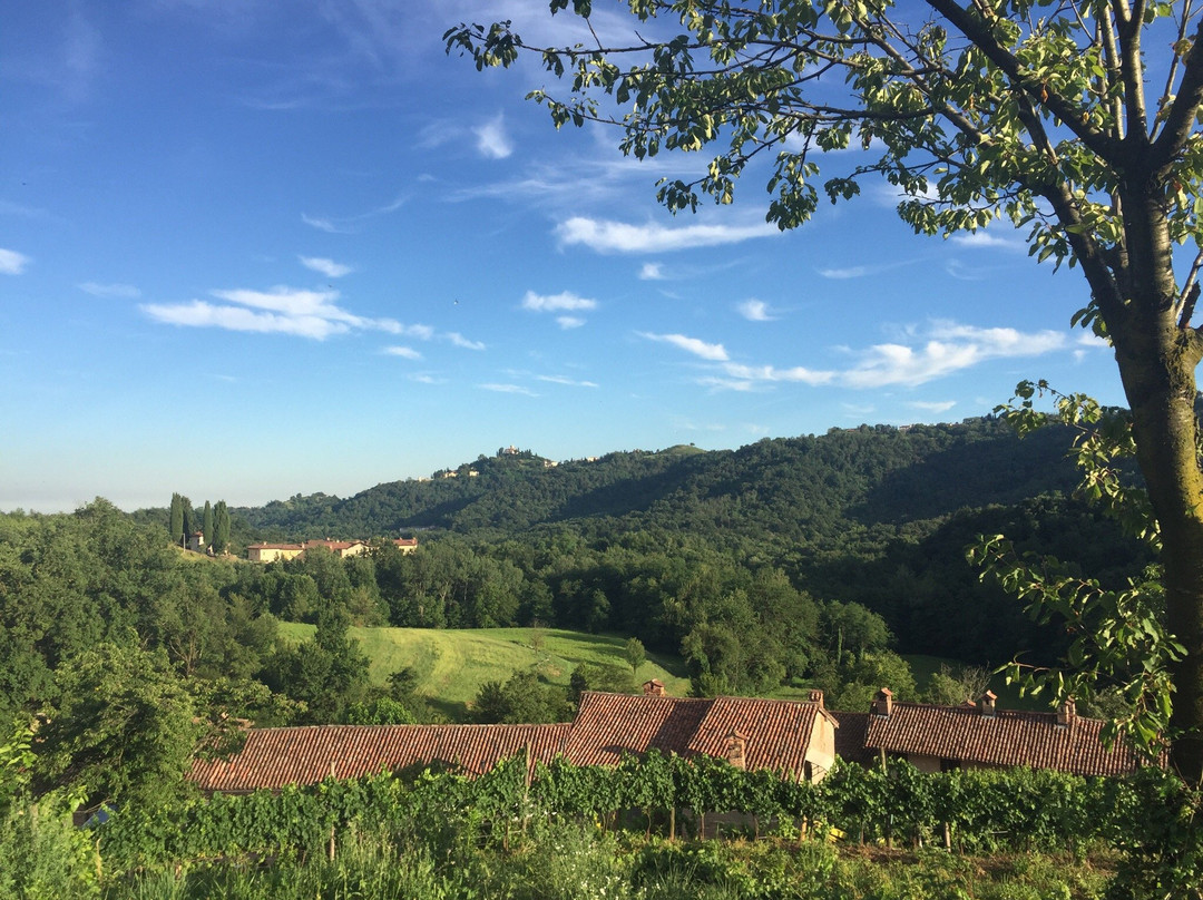 Rovagnate旅游攻略图片