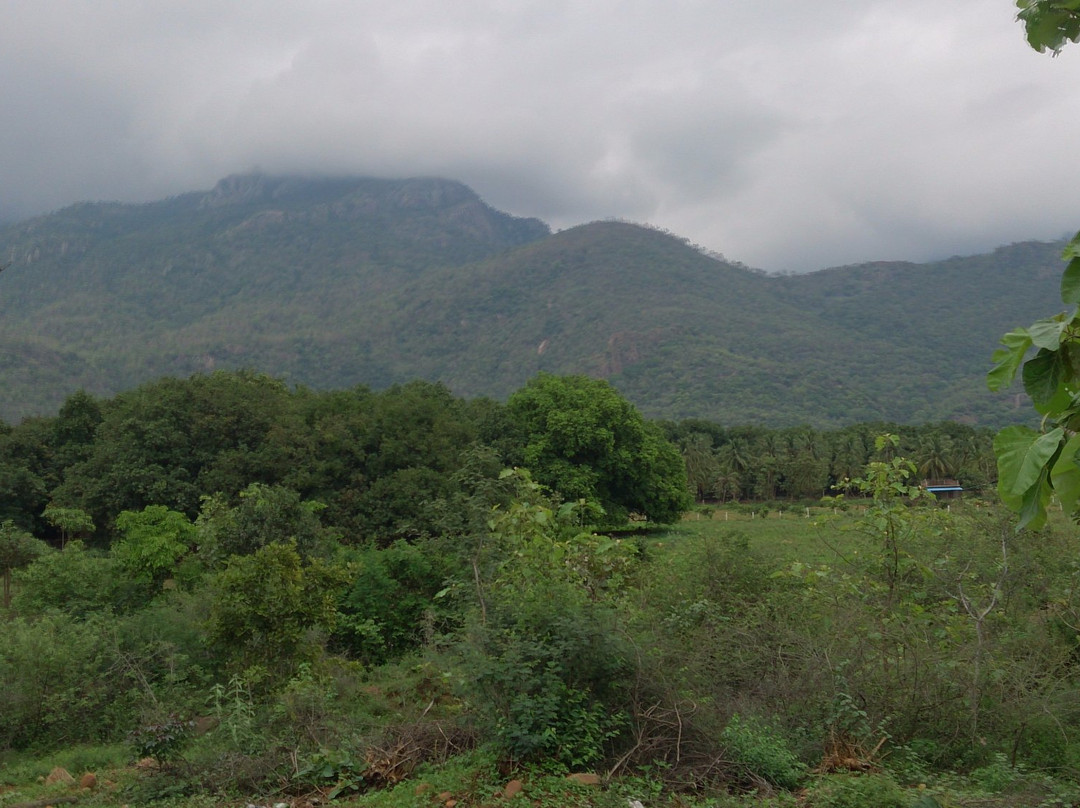 Ayyanar Falls-Rajapalayam必去景点