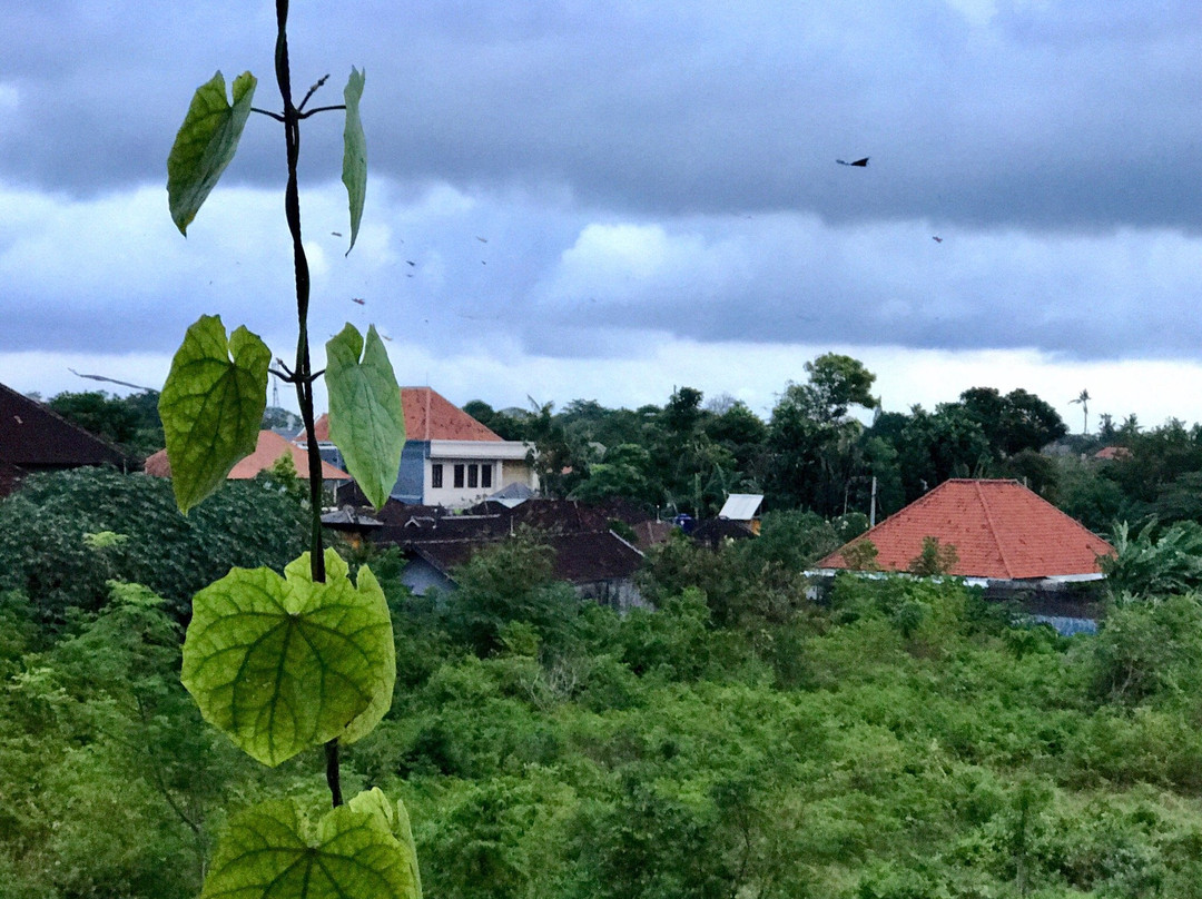 沙努尔塔克苏酒店主图