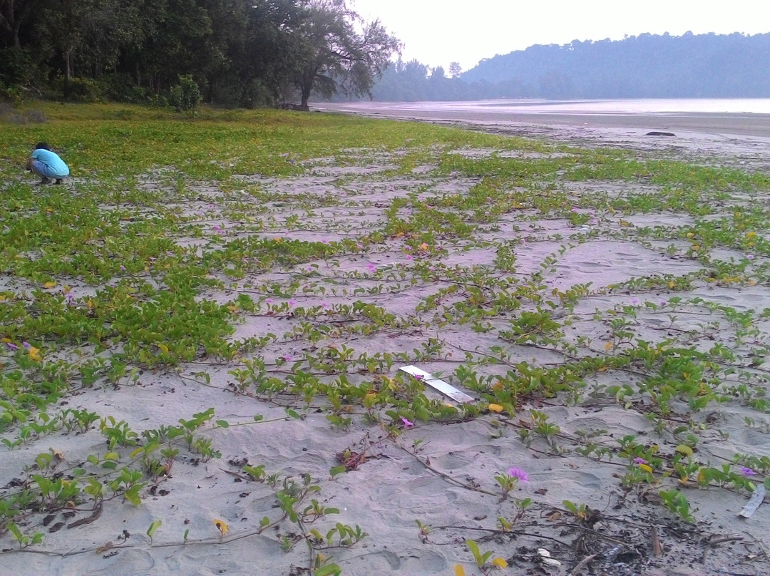 Gunung Arong Recreational Forest-Endau必去景点