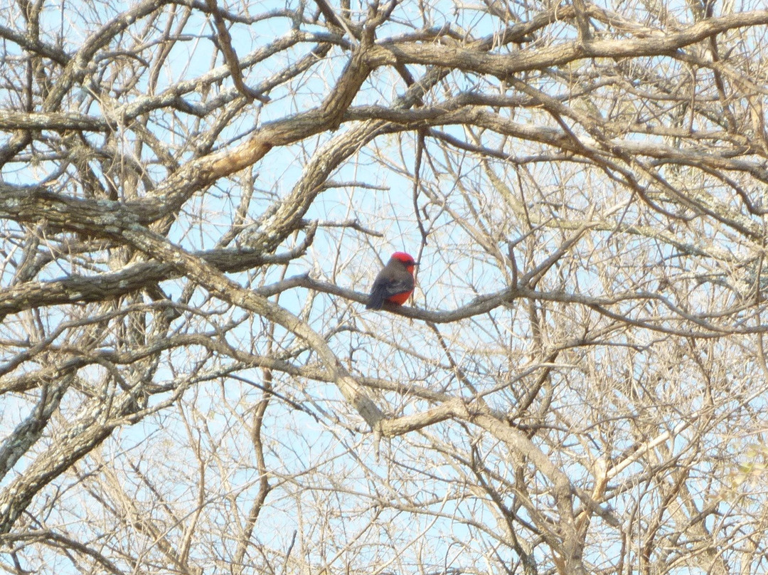 Casa Celia Hotel主图