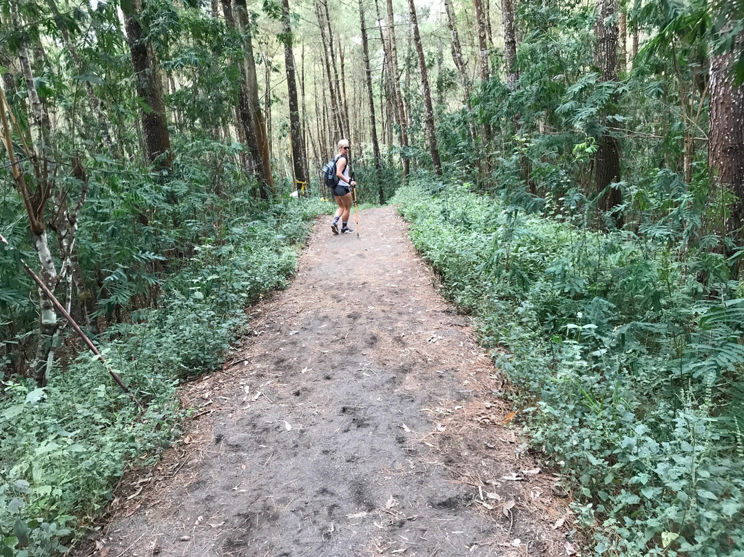Go Bali Trekking-金塔马尼必去景点