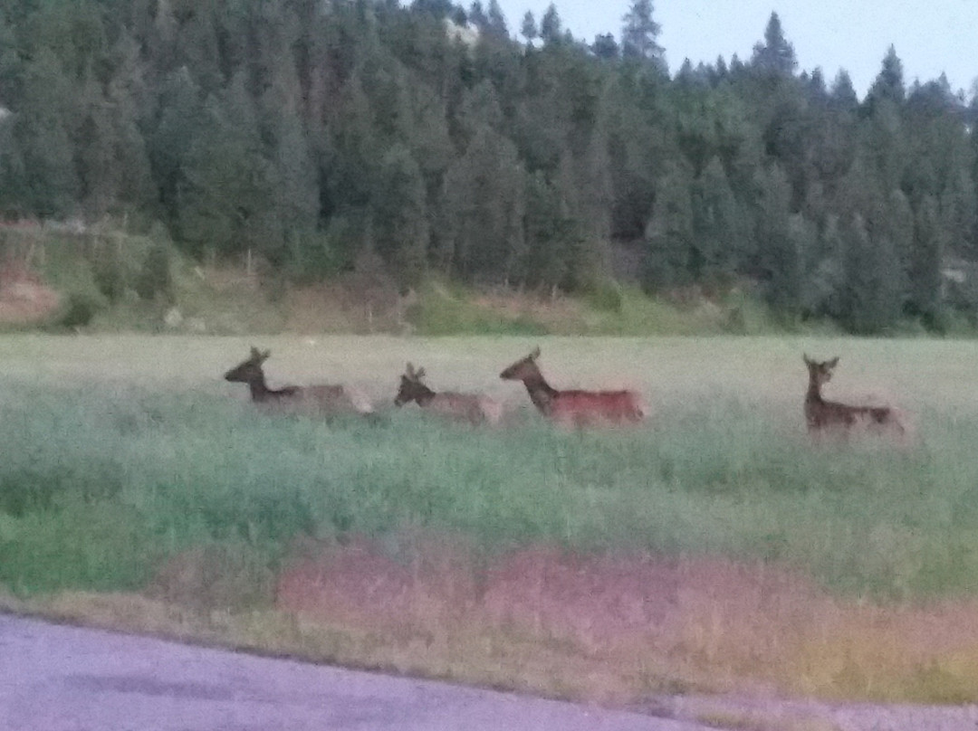 The 1908 Pruett House主图