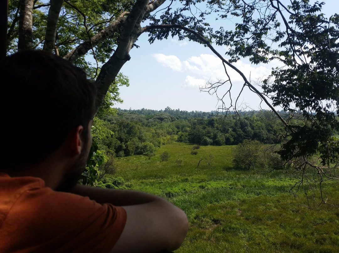 Saiwa Swamp National Park-Kitale必去景点