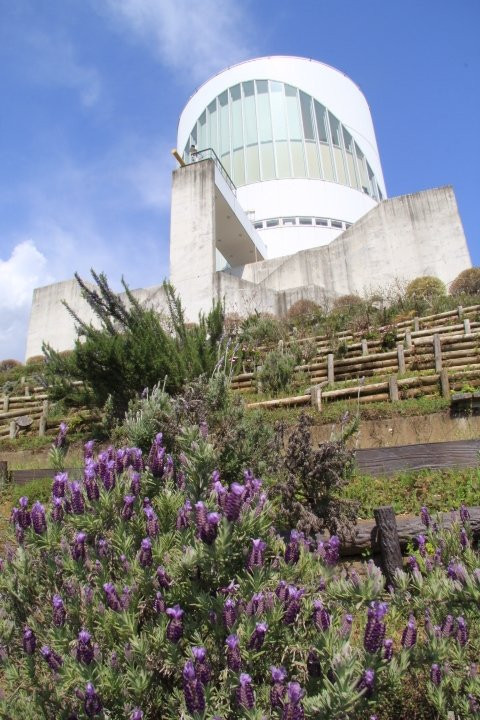Matsuda Herb Garden-松田町必去景点