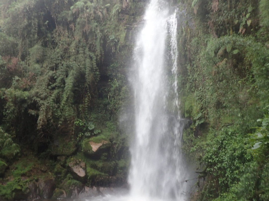 Colombia Rico Tours景点图片