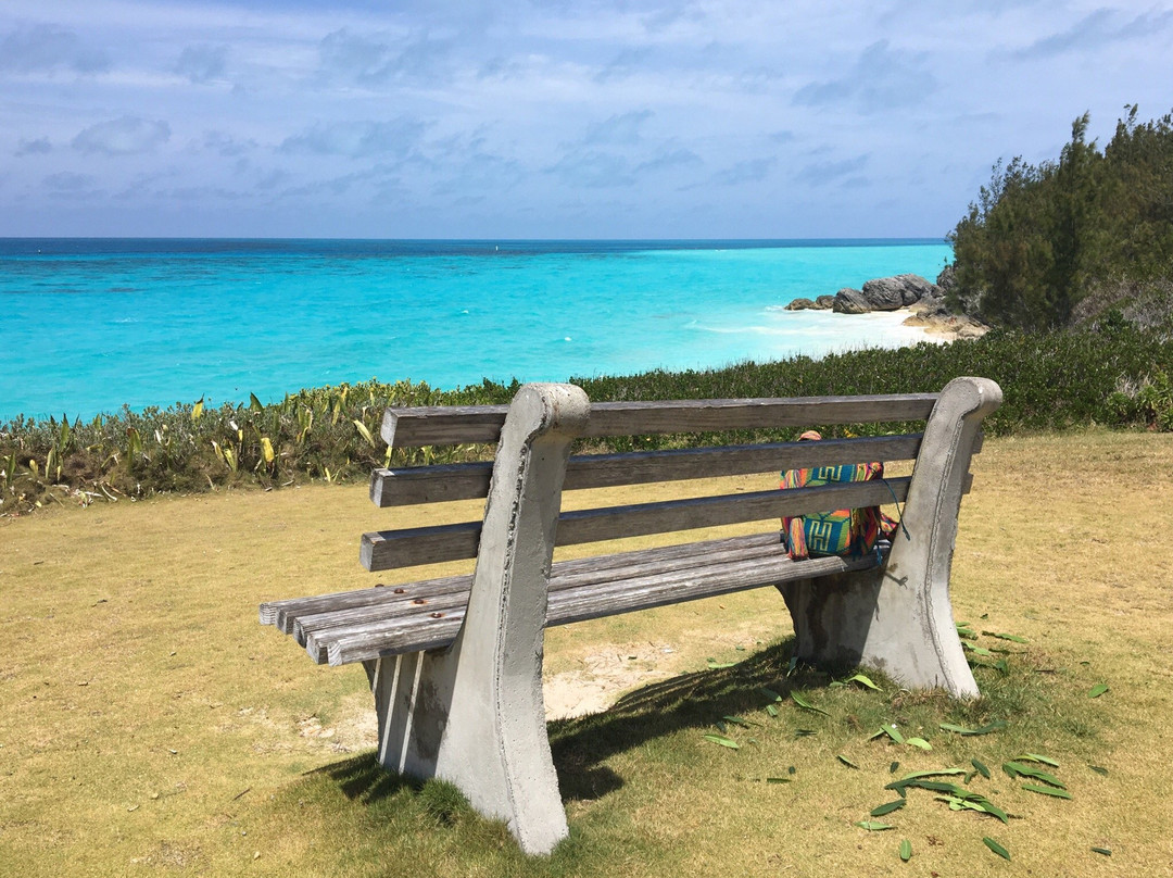 West Whale Bay Beach-南安普敦必去景点