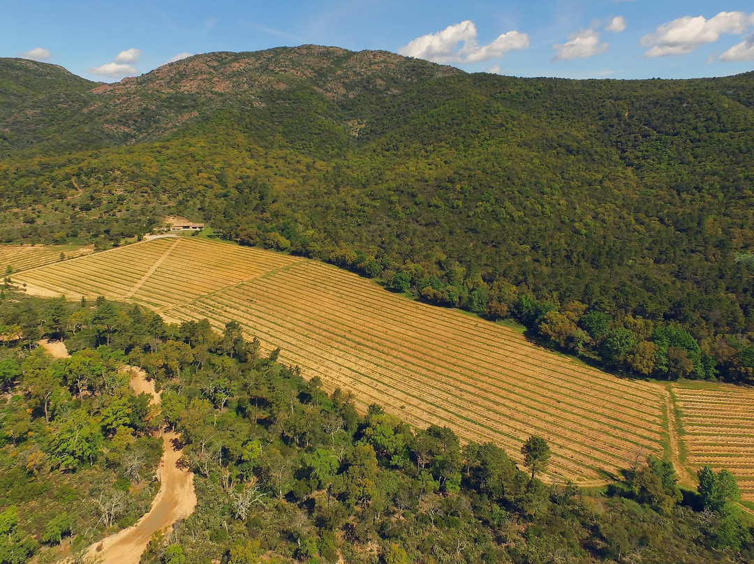 Domaine Sainte Marie-博尔默勒米莫萨必去景点