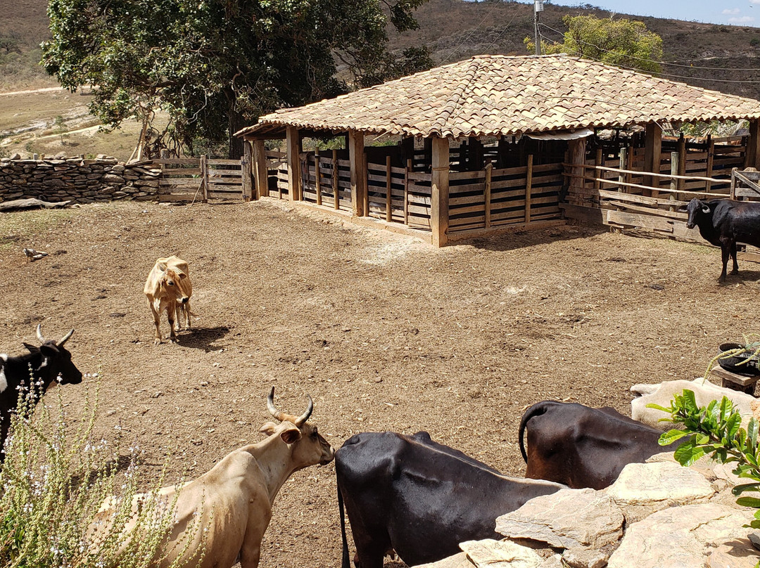 Cachoeira do Nego景点图片